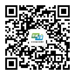 武汉麻豆黄色网站进入环境科技