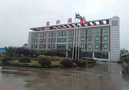 麻豆成人免费视频网